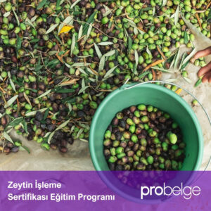 Zeytin İşleme Sertifikası Eğitim Programı